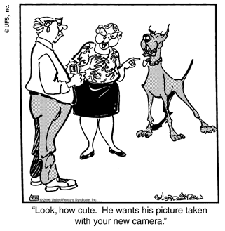 marmaduke